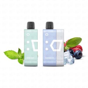 Pod Descartável Elfbar EW9000 Puffs Kit – 5% – Blue Razz Ice + Miami Mint