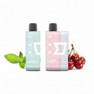 Pod Descartável Elfbar EW9000 Puffs Kit – 5% – California Cherry + Miami Mint