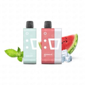 Pod Descartável Elfbar EW9000 Puffs Kit - 5% - Watermelon + Miami Mint