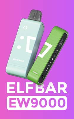 elfbar-ew9000 mini