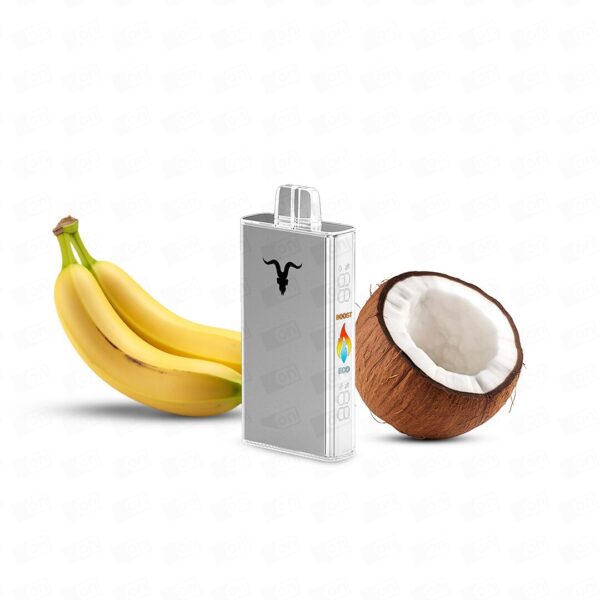 Pod Descartável Ignite V250 25000 Puffs - Silver - 5%