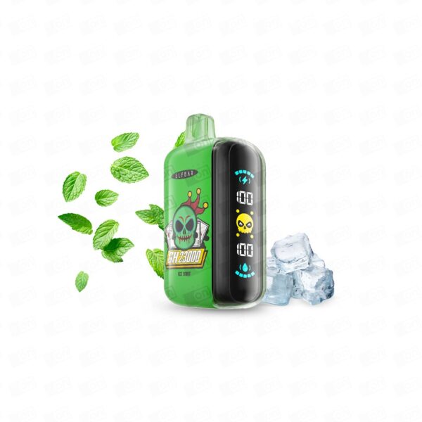 Pod Descártavel Elfbar GH23000 Puffs - 5% - Ice Mint