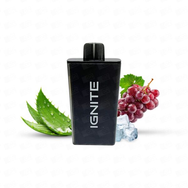 Pod Descartável Ignite V250 25000 Puffs - Black - 5%