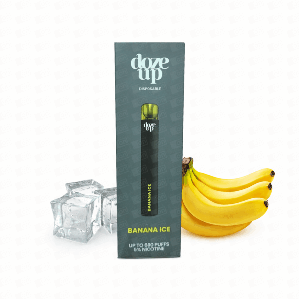 Pod Descartável Doze Up 600 Puffs - 5%